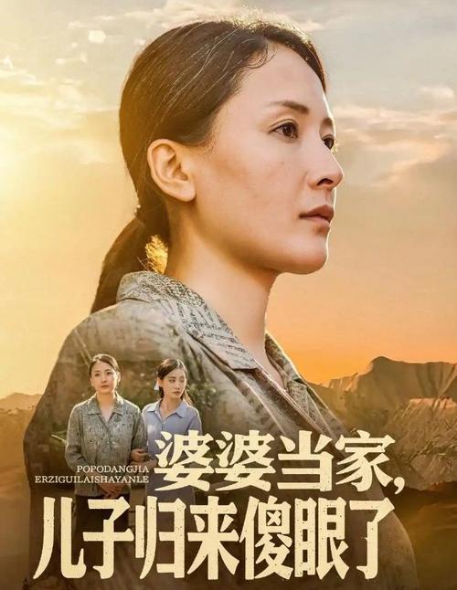 婆婆當家兒子歸來傻眼了